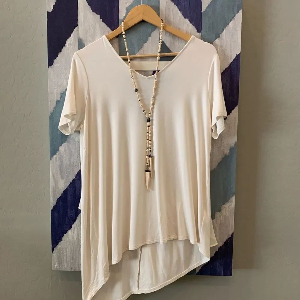 Lisa Rinna asymmetric tunic chiffon back detail Md